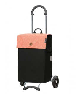 Chariot de course Vide Scala Shopper Andersen - sac vide Abricot - Andersen Chariot 2 roues - poussette marché