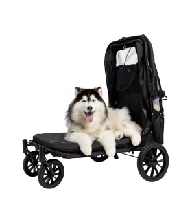 Poussette pour Grand Chien Grand Cruiser ibiyaya