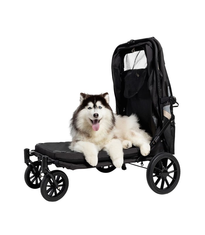 Poussette pour Grand Chien Grand Cruiser ibiyaya