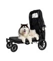 Poussette pour Grand Chien Grand Cruiser ibiyaya