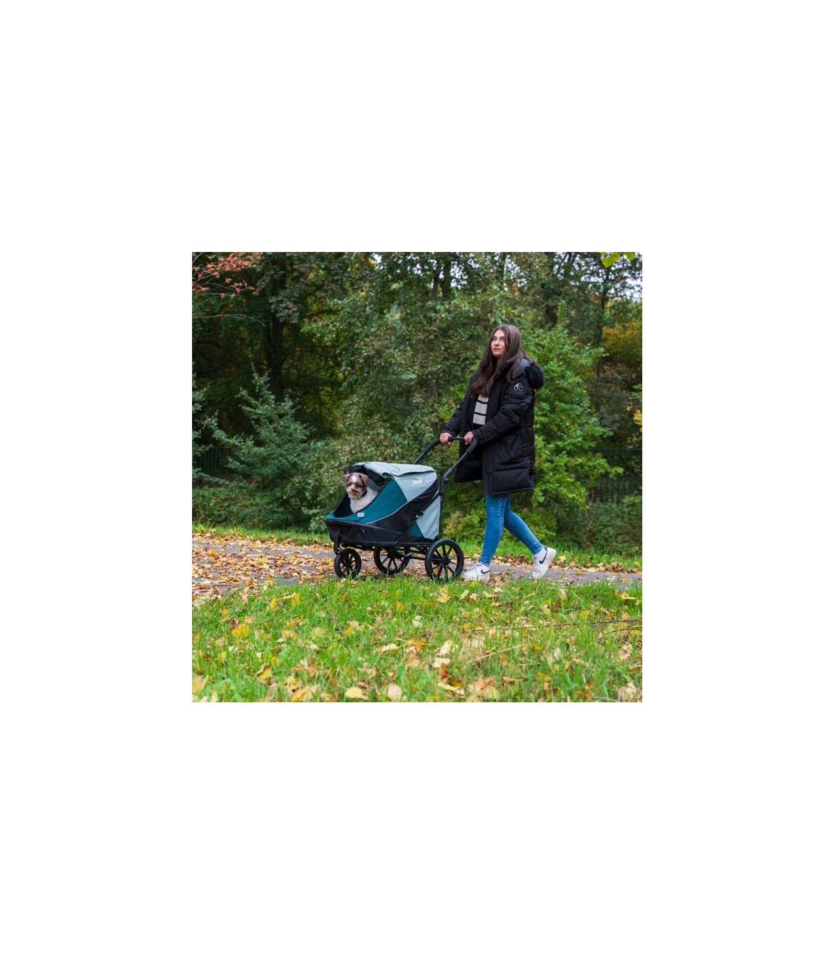 Poussette Chien 3 roues InnoPet Noah Pebble & Stone