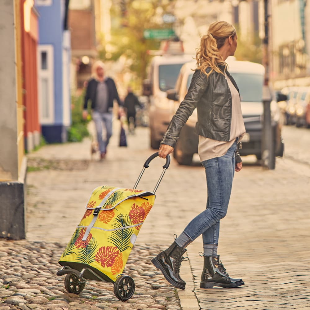 Quel chariot de course pour personnes âgées choisir en 2024 ?