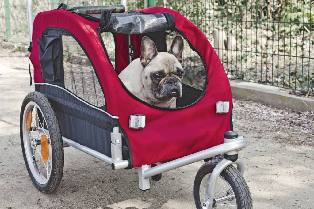 mettre son chien dans une poussette pour chien