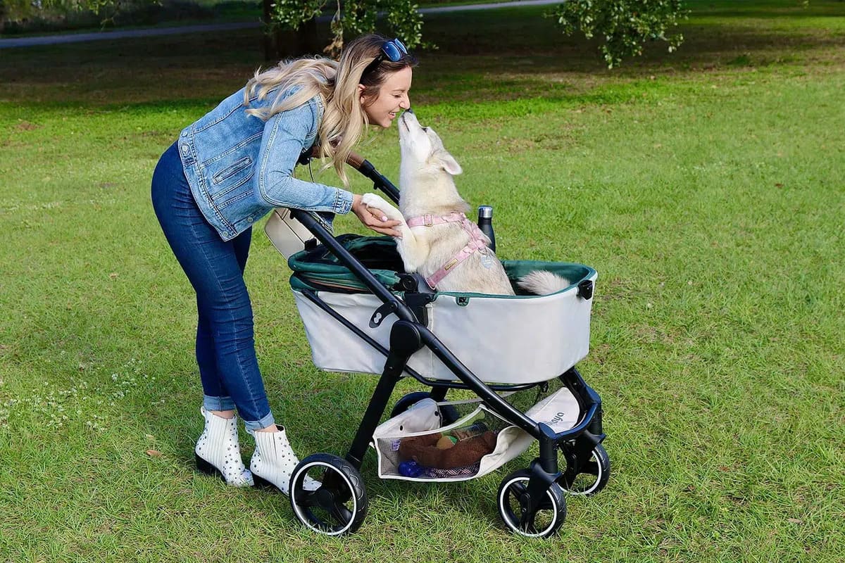 poussette sécurisée pour chien critères