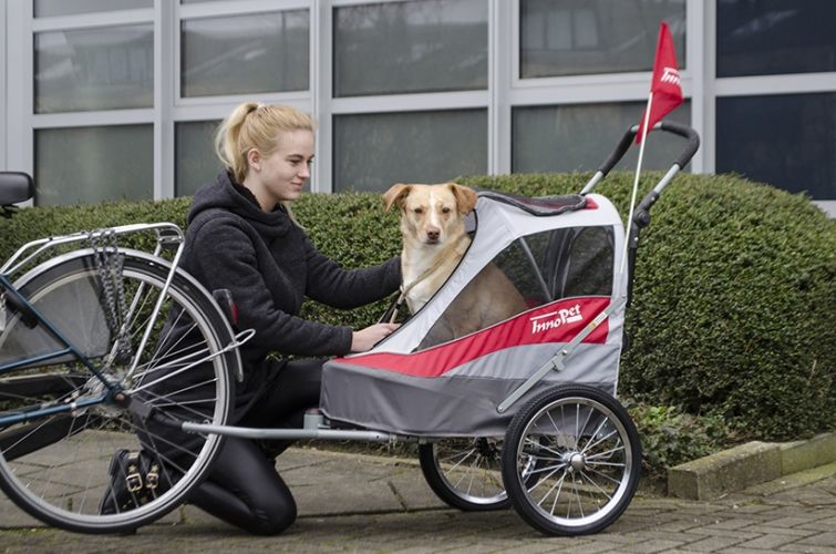 poussette chariot vélo pour chien