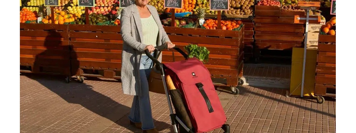 Les avantages d'un chariot de courses avec freins pour une utilisation pratique