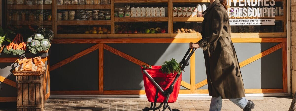 La tendance du panier de courses à roulettes