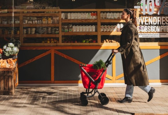 La tendance du panier de courses à roulettes